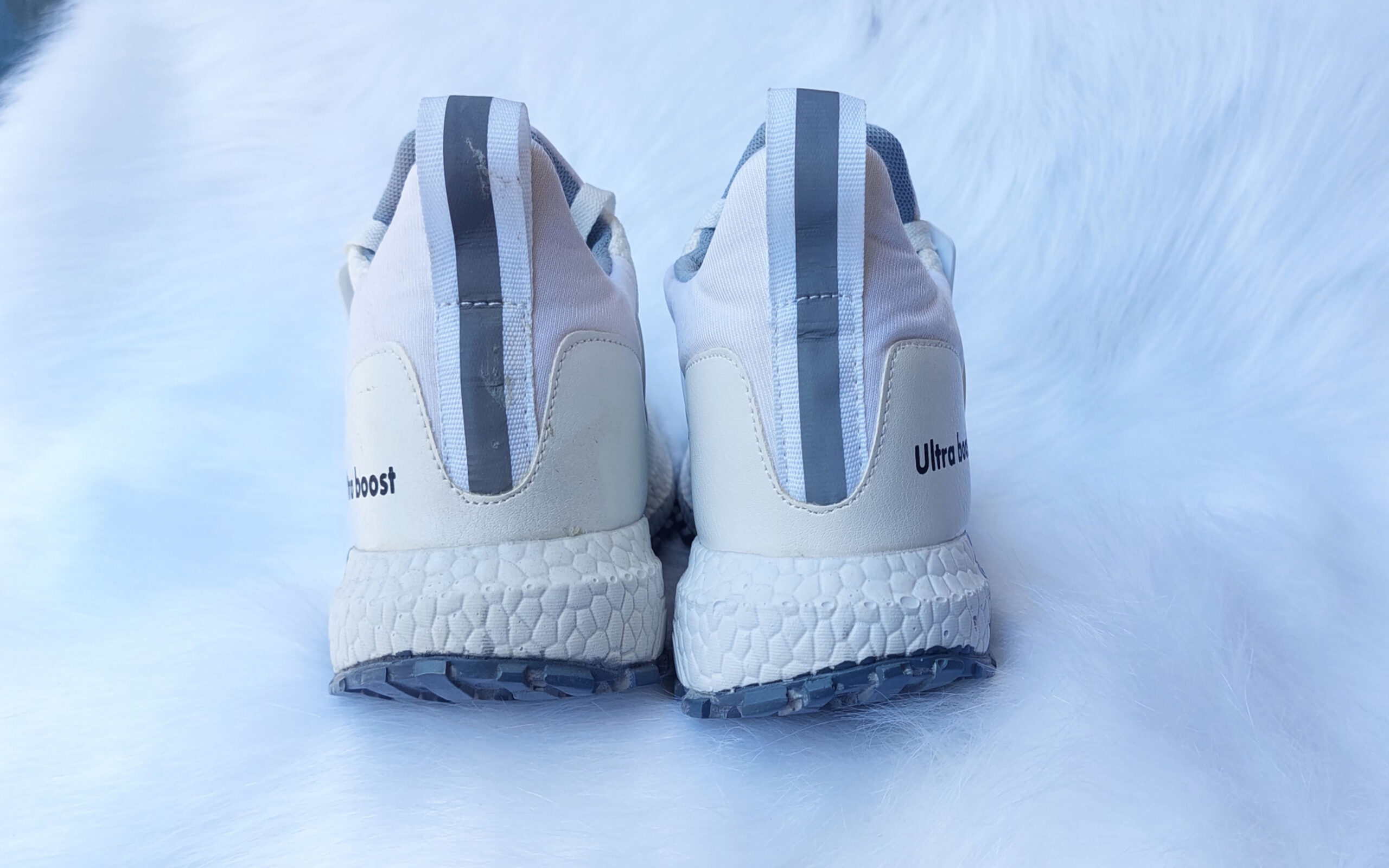 ADIDAS 10 (13)