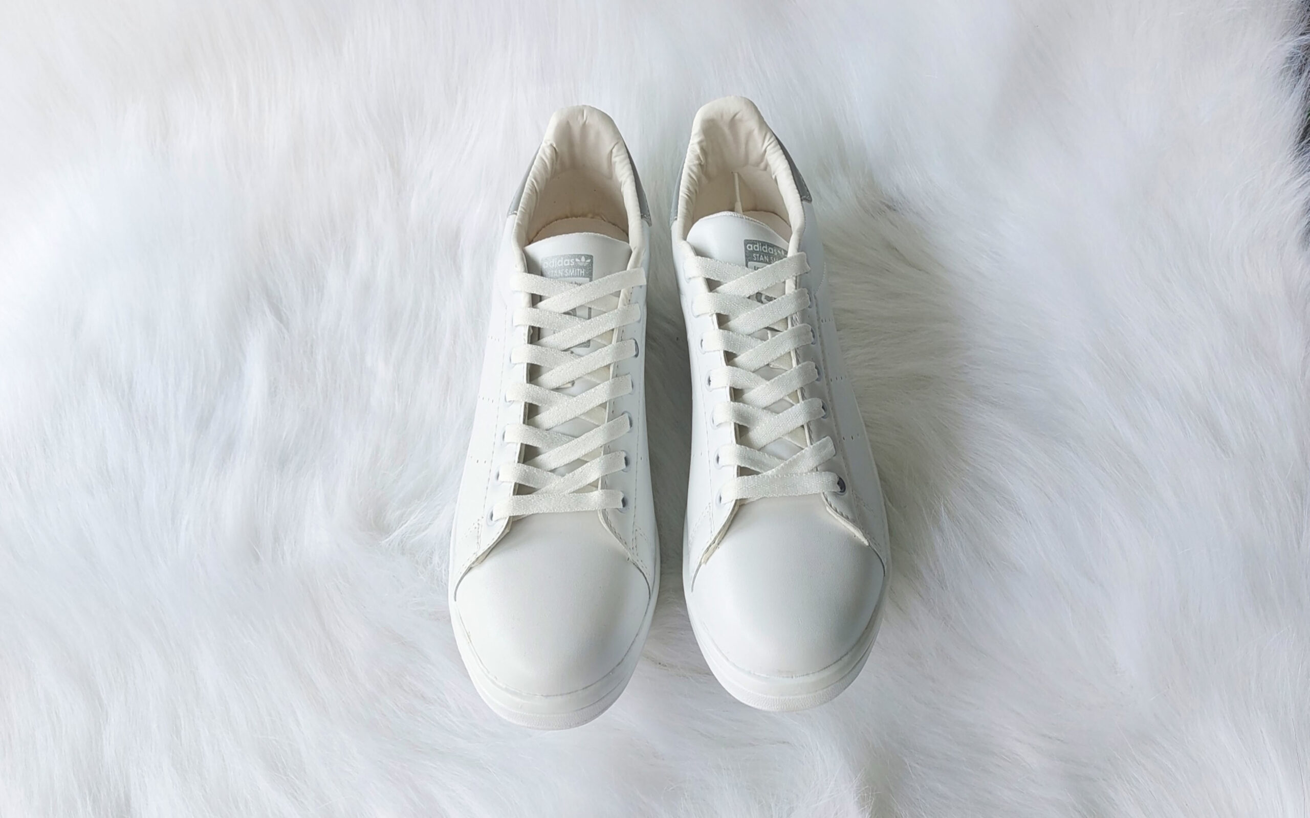 vans 33 (5)