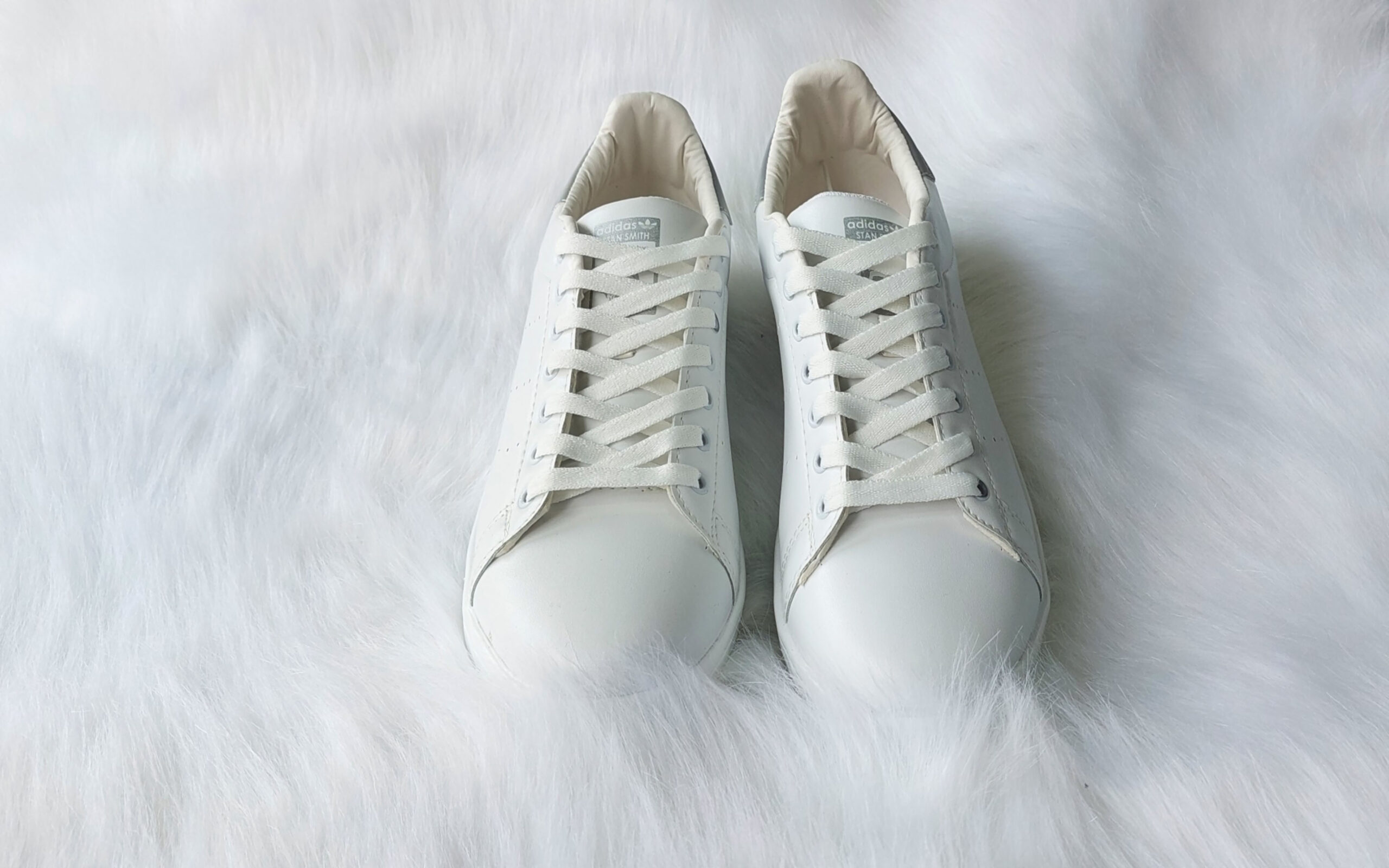 vans 33 (6)